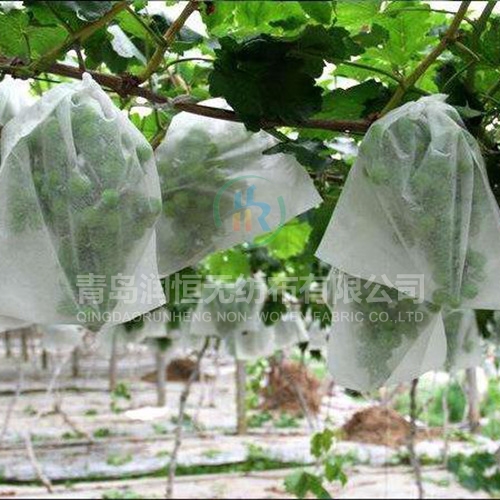 潍坊农用无纺布的作用主要体现在以下几个方面